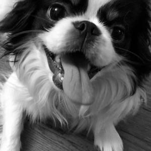 Meet your Posher, Kescha